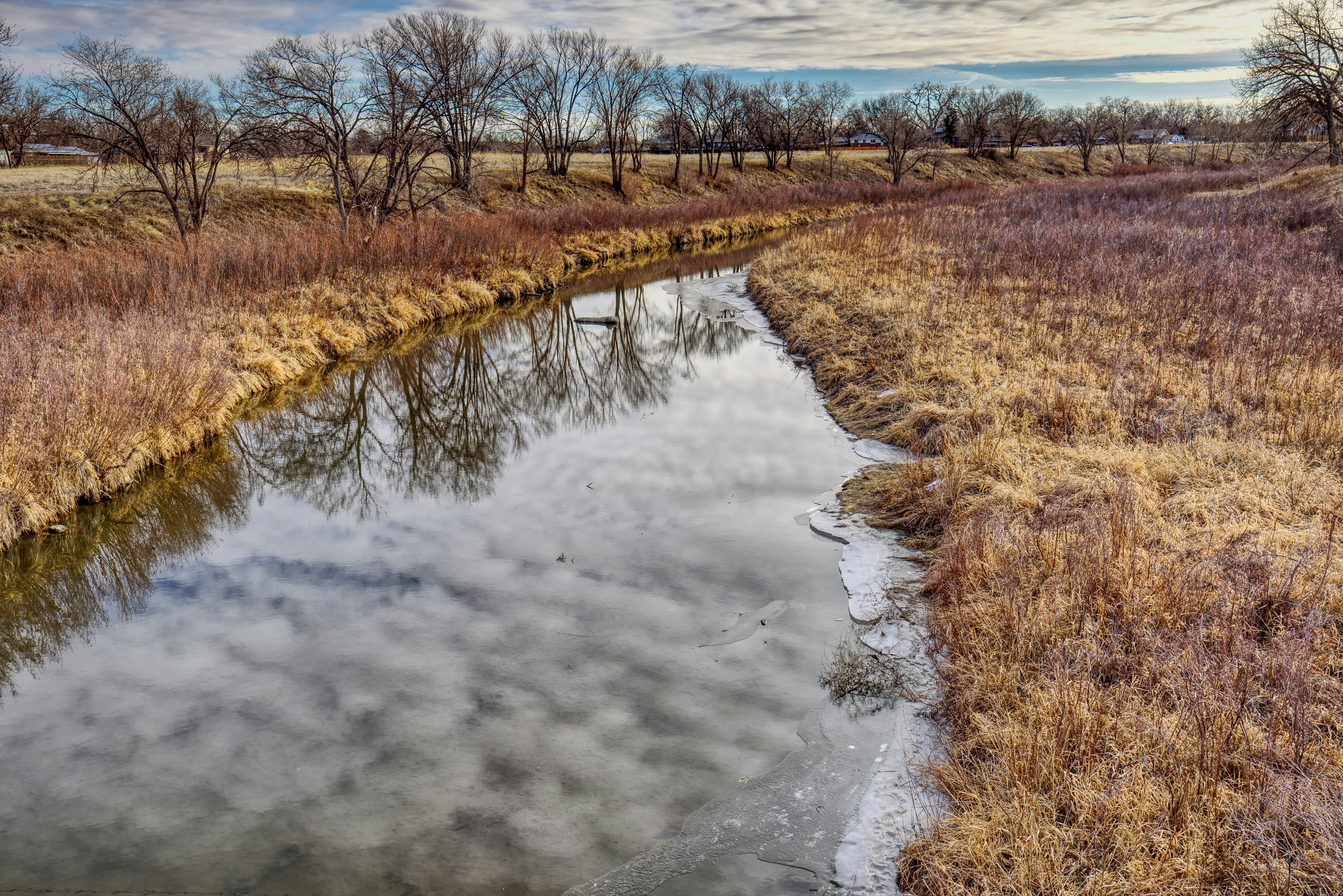 brown grass near river during daytime